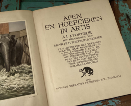 Apen en Hoefdieren in Artis