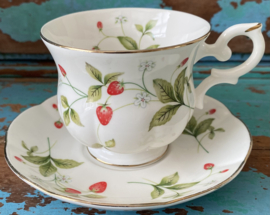 Servies groen-geel-rood-etc