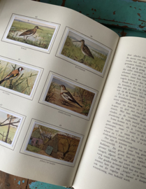 Verkade boek “Herfst”