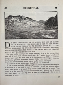 Blonde Duinen