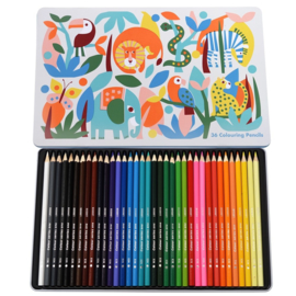 Rex London | Colouring Pencils Set of 36