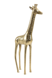 Giraffe - Goud - 63 cm