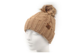 Wintermuts Camel