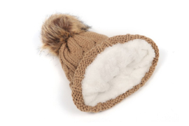 Wintermuts Camel