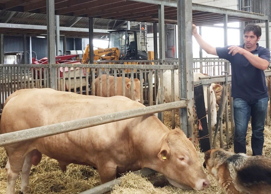 Dit was niet vanmorgen, maar van de zomer. Op onze boerderijcamping geven wij ook rondleidingen. Hier vertel ik een groep campinggasten over onze manier van werken.