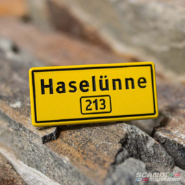 Haselunne 213 - Pin