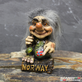 Troll wijzend op NORWAY grijs haar