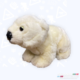 Polar Bear - Stuffed Animal