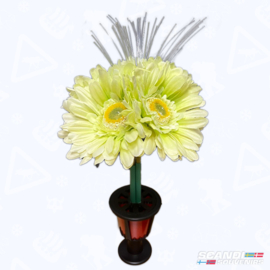 Custom Truck Flower - Zonnebloem (Soft Green)