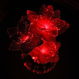 Oldschool Illuminated Flower