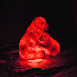 Ours polaire du tableau de bord ( avec son petit)