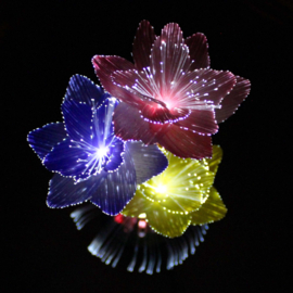 Oldschool Illuminated Flower