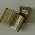 Het Mozart album