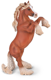 Paarden