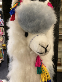 XXL Alpaca Life-Size.