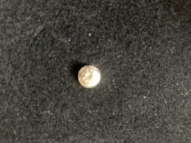 Zilver Thee-tip