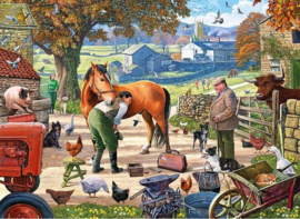 250 XL puzzelstukjes