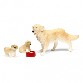 Hond met puppy's (LY608074)