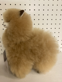 Camel 23 cm