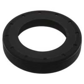 Oil seals