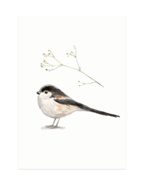 mini cards | Birds and flowers (set)