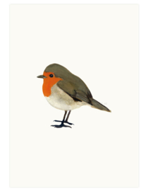 print | Robin