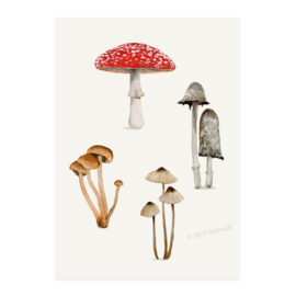 mini print | Paddenstoelen