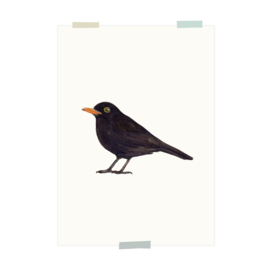 print | Black bird