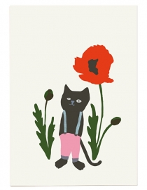 Cat and poppy