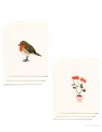 mini cards and envelop | Geranium & robin (set)