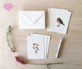 mini kaartjes en envelop | Geranium & roodborstje (set)