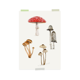 mini print | Paddenstoelen