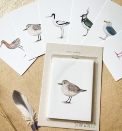 mini cards | Birds wadden sea & field (set)