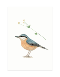 mini cards | Birds and flowers (set)