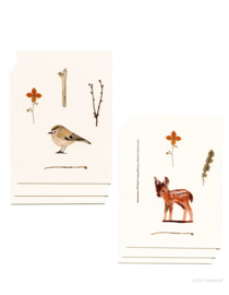 mini cards and envelop | Deer & gold crest (set)