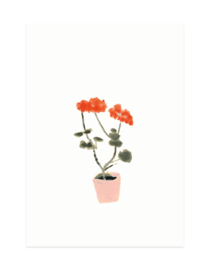 mini kaartje | Geranium