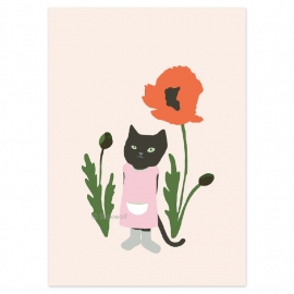 Pussy cat and poppy