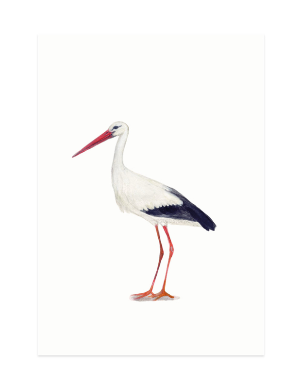 mini card | Stork