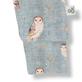 Broekje Owl Babyblue