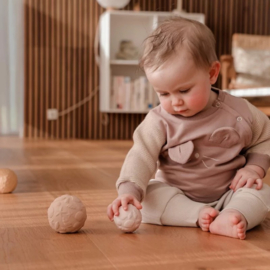 Sensory ballen natuurrubber Turtle
