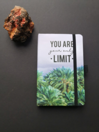 Notitieboekje met bij behorende pen You are your only Limit