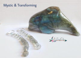 Mystic & Transforming | silver plated Oorbellen Labradoriet