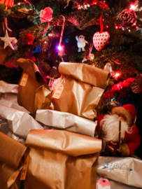 BryOnly's Mystery Bags -maat S- | kerstmis