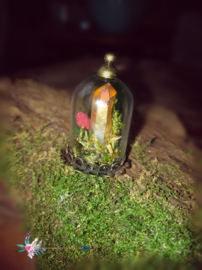 Glazen Stolp hanger Aqua Aura in to the woods