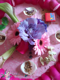 Workshop BryOnly’s Full Moon Flower Ritual 18 april 2019