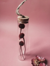 Droogbloem in glazen buis 15 cm | ophangen Pink|Bordeaux