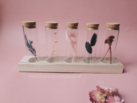 5 glazen flesjes met droogbloemen op standaard | Spes