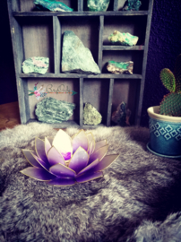 Lotus waxinelicht Violet -goud