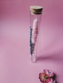 Droogbloem in glazen buis 20 cm | pink |petrol