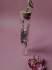 Droogbloem in glazen buis 15 cm | ophangen Petrol|Pink